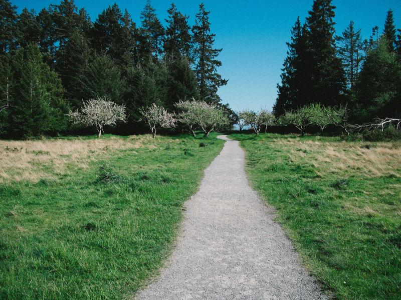 移动迷宫<br>sybmuzg.cn  glade 跑酷